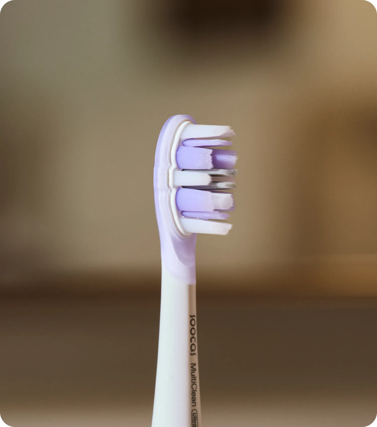 Two Specialized Heads, One Perfect Clean.