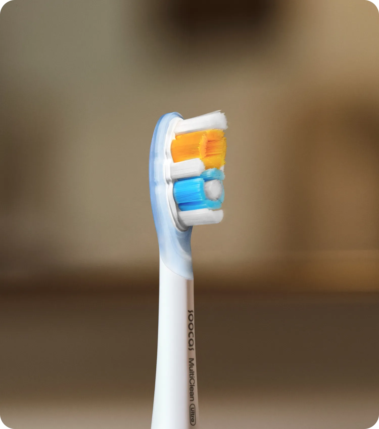 Two Specialized Heads, One Perfect Clean.